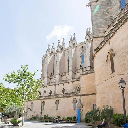 Fernando Manacor (Mallorca)
