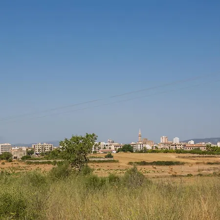 Fernando Villa Manacor (Mallorca)